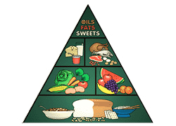 Dietetic Unit Dietetic Unit